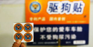 2009年北京舉辦國際改裝車展