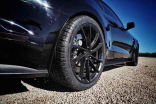 智慧零售連接中美汽車后市場,媒體走進誠信聯盟企業固鉑輪胎