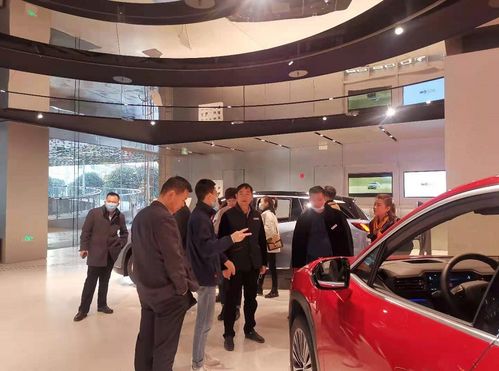 中國汽車服務業兩會代表走進上汽榮威、特斯拉、蔚來 探索創新與協同發展之路