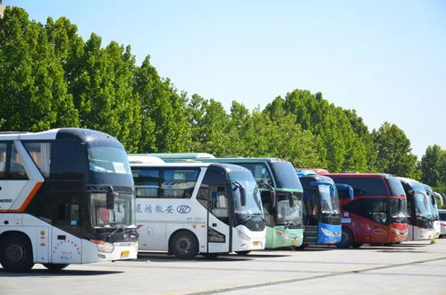 第十八屆中國臨沂汽車用品及配件展覽會盛大開幕，助推中國汽配產業升級